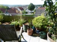 Abbildung vergrößern